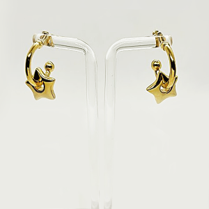 Earrings Gold Plated with Gold Star