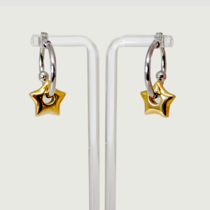 Earrings Silver Plated with Gold Star